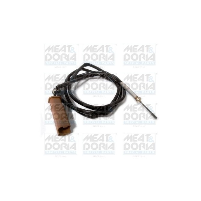 Senzor, temperatura gaze evacuare MEAT & DORIA