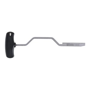 Intretinere planetare BETA