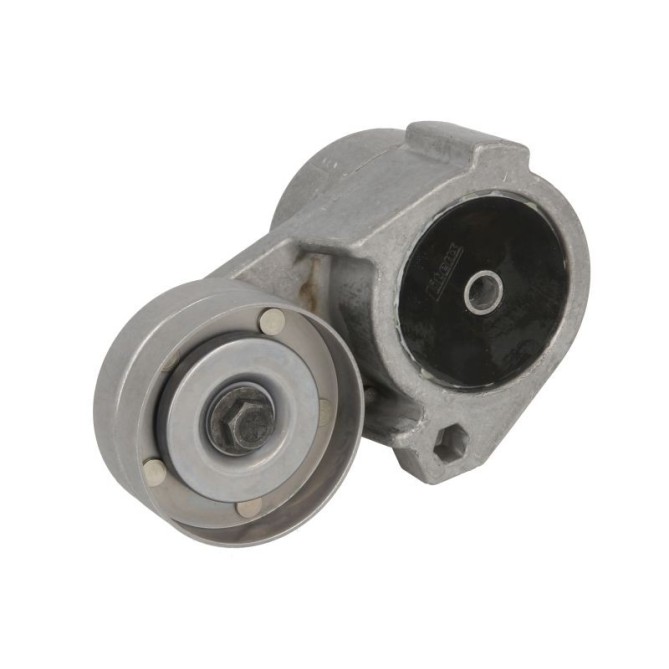 Rola intinzator,curea transmisie SKF