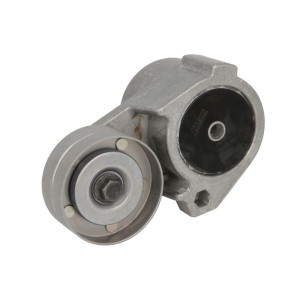 Rola intinzator,curea transmisie SKF