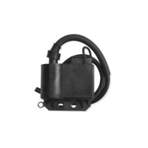 Bobina de inductie VICMA