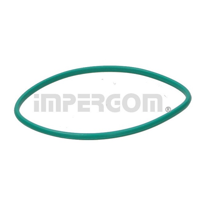 Garnitura, pompa combustibil IMPERGOM