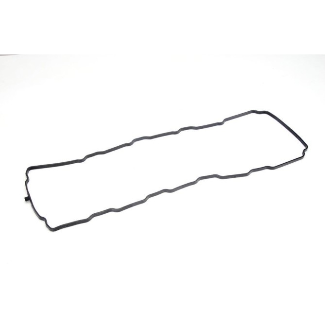 Garnitura, capac supape PAYEN