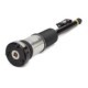 Brat arc pneumatic ARNOTT EUROPE Modul aer Spate Stanga MERCEDES S (C216), S (W221, V221) 2.2D-5.5 10.05-12.13