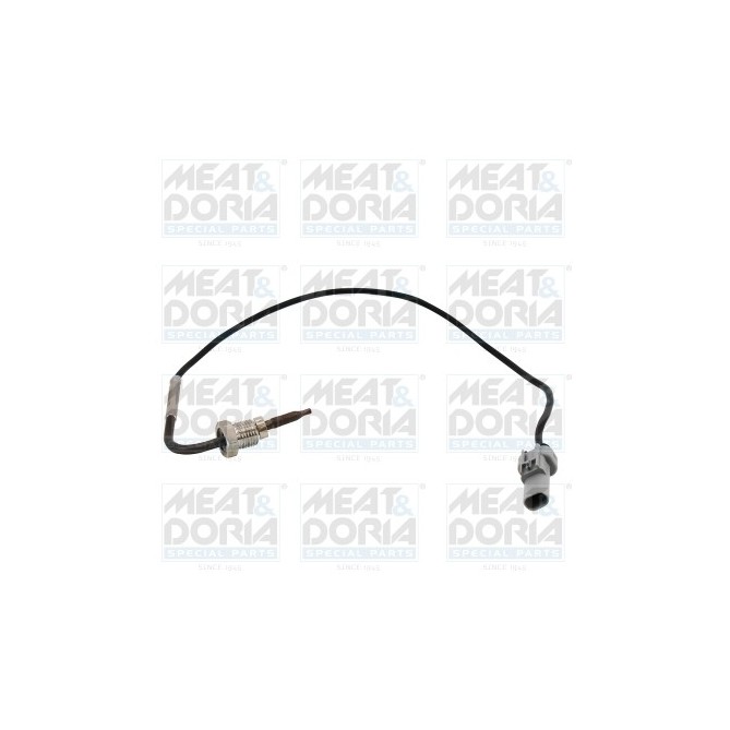 Senzor, temperatura gaze evacuare MEAT & DORIA