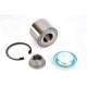 Kit rulment roata Spate Dreapta/Stanga 25x60x45 pentru CITROEN C4, C4 I; PEUGEOT 307, 307/KOMBI 1.4-2.0D 08.00-12.12