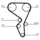 Curea de distributie CONTITECH pentru CITROEN C2, C3 I, C4, C4 I; PEUGEOT 1007, 206, 207, 307 1.4 10.03, 135 dinti, latime 25.0 mm