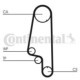 Curea de distributie CONTITECH pentru SEAT AROSA, CORDOBA, IBIZA II, GOLF III, LUPO I, POLO 1.0-1.6ALK, 135 dinti, 19.0 mm latime