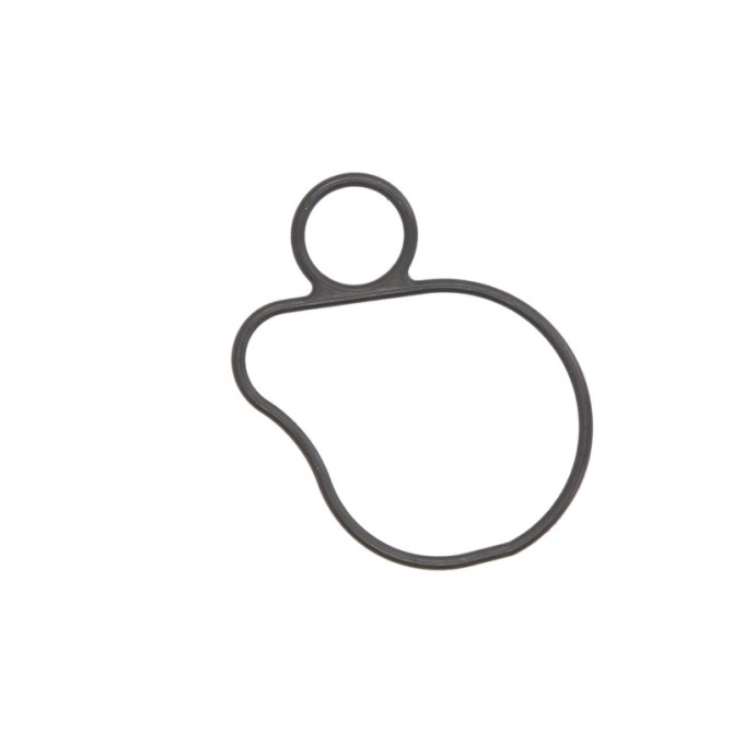 Garnitura, pompa de apa ATHENA