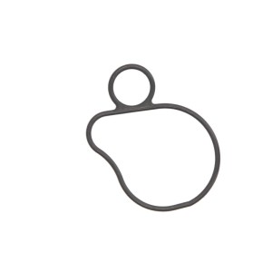 Garnitura, pompa de apa ATHENA