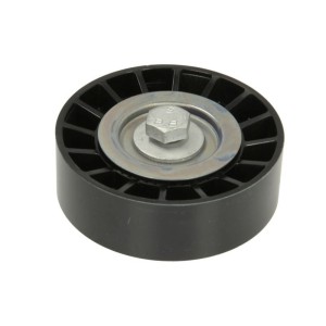 Rola intinzator,curea transmisie INA