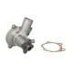 Pompa apa INA pentru FORD CAPRI III, GRANADA, P 100 I, SCORPIO I, SIERRA, TRANSIT 1.3-2.0 08.77-09.94