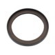 Simering ulei arbore cotit CORTECO 100x124/124x12 pentru DAF 85, 85 CF, 95, 95 XF, CF 85, XF 95 VF390M-XF355M 08.90-05.13