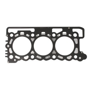 Garnitura chiulasa PAYEN