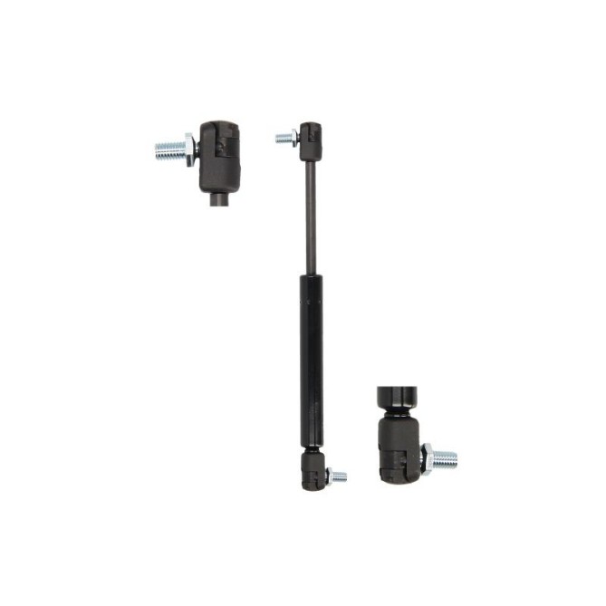 Amortizor Haion MAGNUM TECHNOLOGY