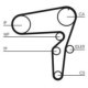 Curea de distributie CONTITECH pentru ALFA ROMEO 147, 156, 166, GT; FIAT STILO; LANCIA THESIS 1.9D/2.4D 11.02-09.10, 24.0 mm, 198 dinti