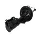 Amortizor Fata Stanga MONROE pentru VOLVO C30, S40 I, S40 II, V40, V50; FORD FOCUS II 1.6-2.5 07.95-12.12