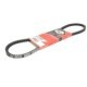 Curea transmisie GATES V-Belt 10x788/798 pentru ALFA ROMEO