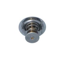 Termostat,lichid racire NRF