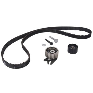 Set curea de distributie INA