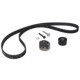 Set curea de distributie INA pentru ALFA ROMEO 147, 156, GT; FIAT FREEMONT, STILO 1.9D/2.0D 11.02-12.15, 198 dinti, latime 24 mm