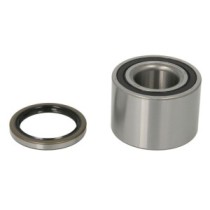 Kit rulmenti roata BTA