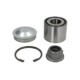 Kit rulment roata FAG Bearings Spate Dreapta/Stanga 25x55x43 pentru NISSAN KUBISTAR, RENAULT CLIO IV, KANGOO, LAGUNA I