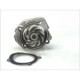 Pompa apa THERMOTEC lichid răcire Fiat Punto II 1.2 8V 24 dinti diametru margine rolă 62.0 mm diametru roată suplimentară 62.0 mm
