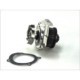 Pompa apa THERMOTEC lichid răcire Fiat Punto II 1.2 8V 24 dinti diametru margine rolă 62.0 mm diametru roată suplimentară 62.0 mm