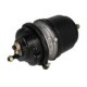 Cilindru de pretensionare SBP Servomotor frana Spate Dreapta/Stanga 24/24, cursa: 64mm, M22x1,5mm, disc DAF XF 105 10.05-