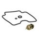 Set reparatie carburator TOURMAX pentru 1 carburator compatibil Yamaha