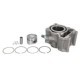 Cilindru motor RMS 125, 4T pentru HONDA FES, NES, PES, SES, SH, S-WING 125 2000-2015