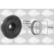 Fulie curea arbore cotit SASIC Renault Laguna II Vel Satis Master II 146.0 mm 40.0 mm 6 dinti 6 nervuri
