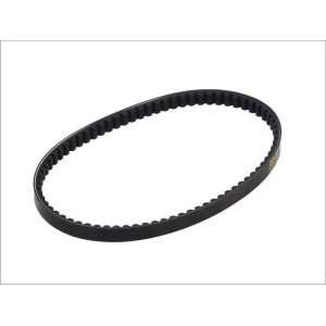 Curea trapezoidala transmisie, Variomatik VICMA