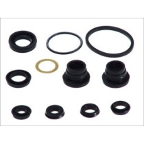 Set reparatie, pompa centrala frana AUTOFREN SEINSA