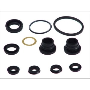 Set reparatie, pompa centrala frana AUTOFREN SEINSA