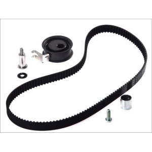 Set curea de distributie SKF