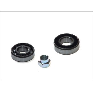 Kit rulmenti roata SKF