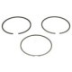 Set segmenti piston KOLBENSCHMIDT 75 (STD) pentru CITROEN DS 3, DS 4 II, DS 7, BERLINGO, C3, C4 CACTUS, diametru 75.0 mm