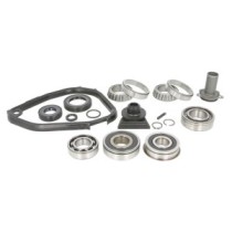 Set reparatie, transmisie manuala INA