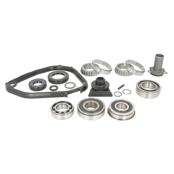 Set reparatie, transmisie manuala INA