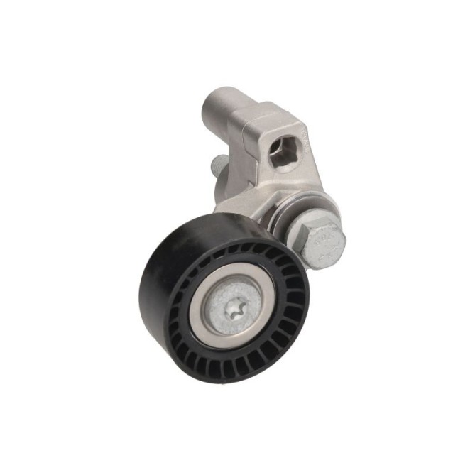 Intinzator,curea transmisie INA