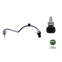 Senzor, temperatura gaze evacuare NTK