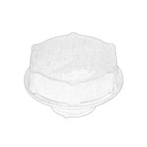 Vas de expansiune, racire OE FORD