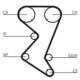Set curea de distributie CONTITECH pentru CITROEN C4, C4 GRAND PICASSO I, C5 II, PEUGEOT 307, 308, 407, 807 1.8-2.0ALK 06.04