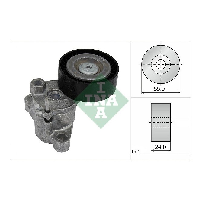 Intinzator,curea transmisie INA