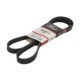 Curea transmisie cu caneluri GATES Multi-V-belt 6PK1613 1613 mm lungime 21 mm lățime 6 nervuri compatibil AUDI