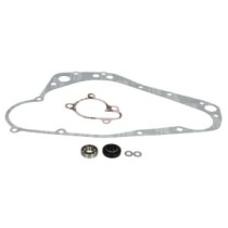 Set reparatie, pompa apa WINDEROSA