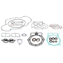 Set garnituri pentru motor WINDEROSA