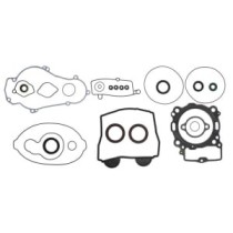 Set garnituri complet, motor WINDEROSA